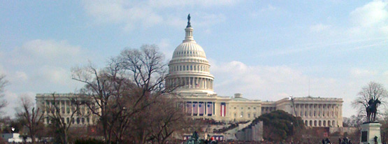 Sophia Knight - Washington, DC native